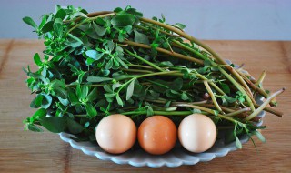 马齿苋煮多久能吃 马齿苋煮多长时间才能吃呢