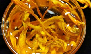 金虫草煮多久能吃 金虫草煮多长时间才熟能吃呢