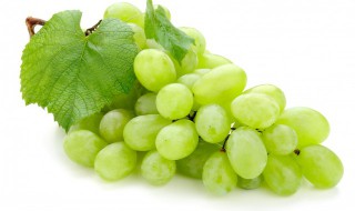 葡萄怎么挑最新鲜好吃 葡萄如何挑选最新鲜好吃的呢