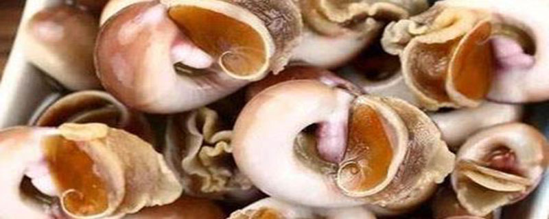 煮香螺冷水下锅还是开水下锅