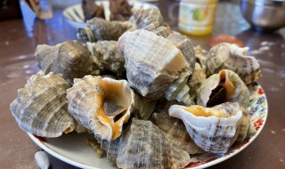 冷冻的海螺煮多久能吃 冷冻的海螺煮几分钟才能食用