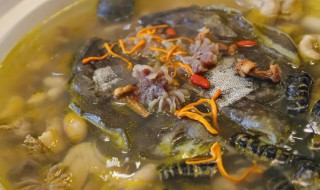 甲鱼汤煮多久能吃 甲鱼汤煮多长时间才能吃呢