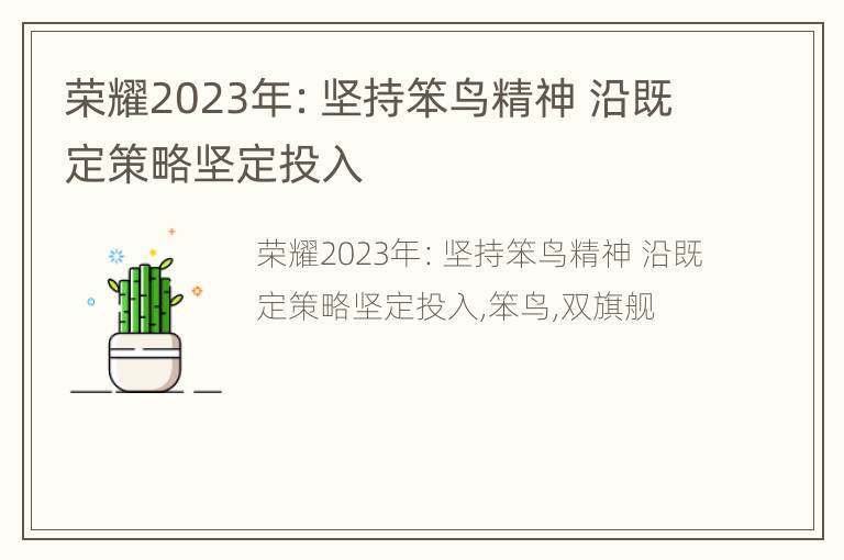 荣耀2023年：坚持笨鸟精神 沿既定策略坚定投入