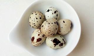 煮鹌鹑蛋要多少分钟熟 煮鹌鹑蛋要多长时间才熟呢