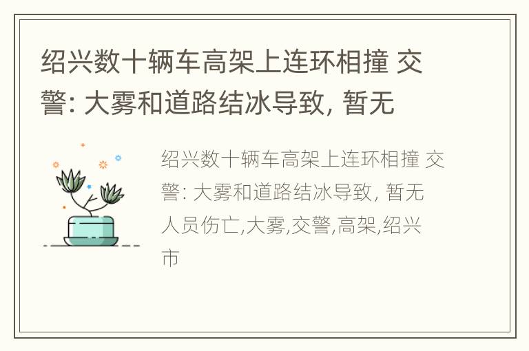 绍兴数十辆车高架上连环相撞 交警：大雾和道路结冰导致，暂无人员伤亡