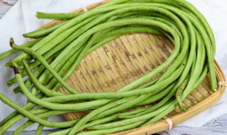 豆角炖土豆饼烤箱简单方法 豆角炖土豆饼烤箱简单方法是什么