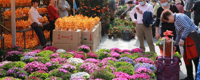 春节去摆什么摊儿 春节前摆地摊卖什么最赚钱