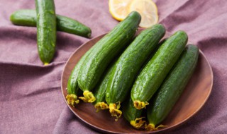 小青瓜怎么做好吃 清脆爽口腌小青瓜家常做法