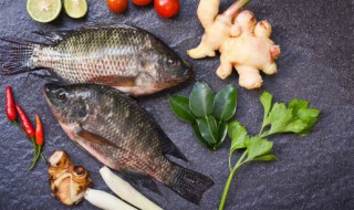 炖大鱼的简单方法 炖大鱼的做法