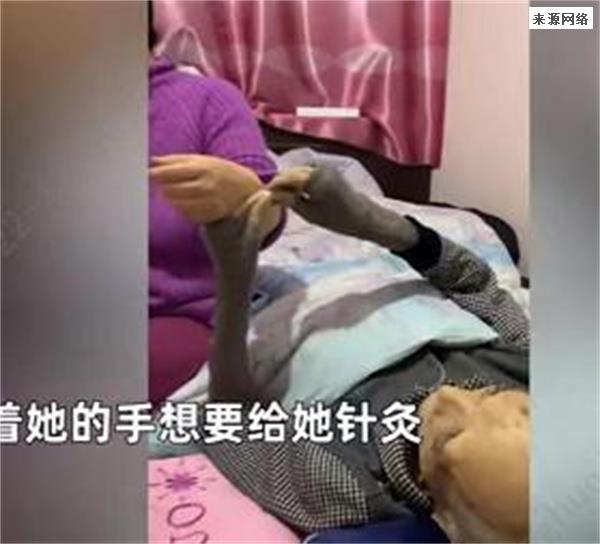 老人临终前4小时给感冒的女儿针灸