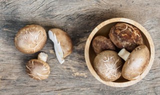 香菇肉馅怎么调好吃 鲜香爆汁香菇肉馅特制做法配方