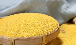 小黄米一般煮多久能吃 小黄米一般煮几分钟才能食用呢