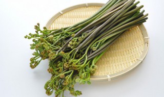 厥菜怎么炒好吃 甘香吸味蕨菜炒腊肉家常做法