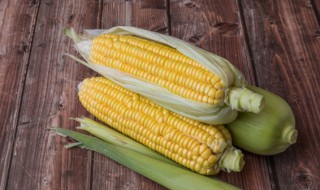 玉米要煮多少分钟 玉米要煮多长时间才熟