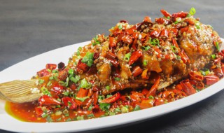 家常鲤鱼怎么炖好吃 鲜浓香辣家常鲤鱼做法步骤