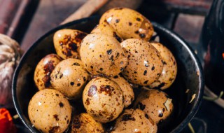 鹌鹑蛋煮多少分钟 鹌鹑蛋煮多长时间才行