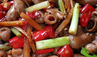 爆炒鱼肚的做法 家常美味的爆炒鱼肚如何做