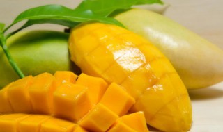 大青芒可以放冰箱吗 大青芒能不能放冰箱