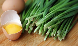 韭菜可以放冰箱冷藏吗 韭菜能放冰箱里保鲜吗