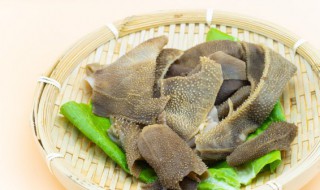 毛肚可以放冰箱冷冻吗 毛肚可以放冰箱不