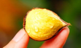 生的板栗可以放冰箱里面吗 生的板栗能放冰箱里面吗