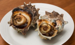 生的钉螺放冰箱可以吗 生的钉螺能放冰箱吗