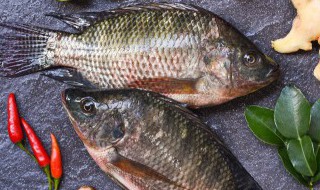 香煎鱼怎么做好吃 金黄酥脆香煎鱼家常做法