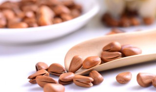 松子可以放冰箱吗 松子能不能放冰箱