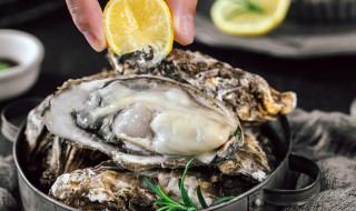 生蚝不开口可以放冰箱吗 生蚝不开口能放冰箱吗