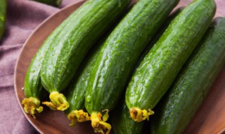 酿黄瓜怎么做好吃 清爽下饭快手蒸酿黄瓜家常做法