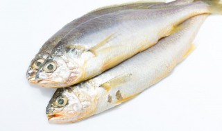 黄鱼清蒸怎么做好吃 鲜香味浓清蒸黄鱼家常做法