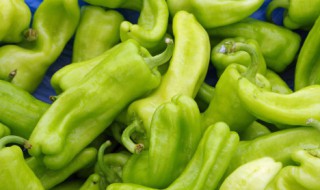 灯笼椒怎么泡好吃 爽脆入味泡灯笼椒家常做法