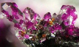 兔年本命年车内摆什么好 兔年本命年车内摆啥好