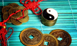 本命年适合摆什么绿植 本命年适合摆的绿植推荐