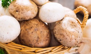 鲜冬菇怎么做好吃 肉香浓郁红烧鲜冬菇家常做法