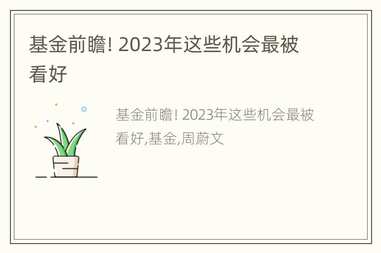 基金前瞻！2023年这些机会最被看好