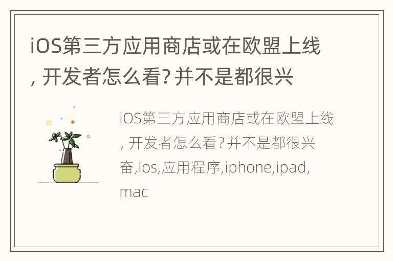 iOS第三方应用商店或在欧盟上线，开发者怎么看？并不是都很兴奋