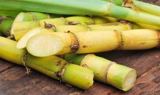 甘蔗和什么一起煲汤比较好 甘蔗和哪些东西一起煲汤营养美味