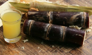甘蔗和什么煲汤比较好 甘蔗和哪些食材煲汤有营养