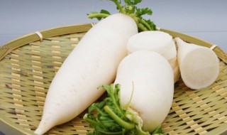 冬天萝卜和什么煲汤比较好 冬天萝卜和哪些食材煲汤好喝