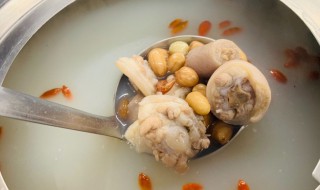 猪尾和什么煲汤比较好 猪尾和什么食材煲汤比较营养好喝