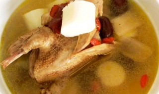 白鸽和什么煲汤比较好喝 白鸽和什么食材煲汤营养好喝呢