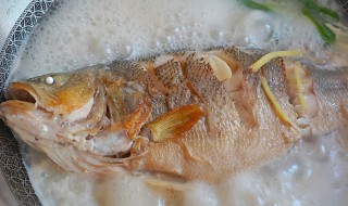 鲈鱼和什么煲汤比较好 鲈鱼和什么食材煲汤比较营养好喝呢