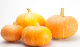 南瓜和什么一起煲汤比较好 南瓜和哪种食材一起煲汤合适呢