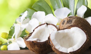 椰子和什么煲汤比较好 椰子和哪些食材煲汤好喝呢