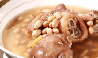 花生和什么煲猪脚汤比较好 花生和哪种食材煲猪脚汤好喝呢