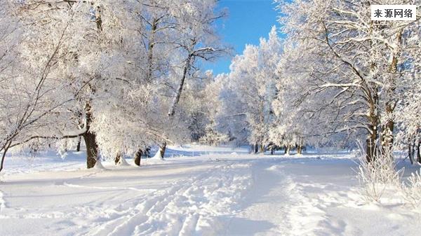 母子看雪景被困