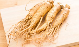 人参炖多久 人参需要炖多长时间呢