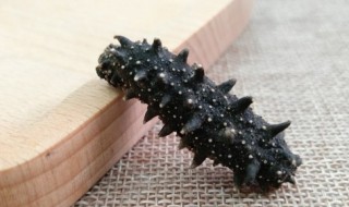 海参要炖多久 海参要炖多长时间才熟呢