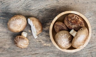 香菇要炖多久 香菇要炖几分钟